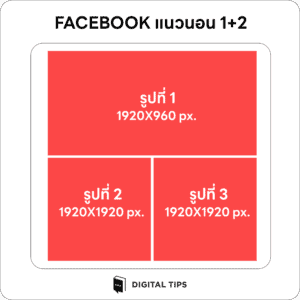 อัลบั้มรูปแนวนอน 1+2