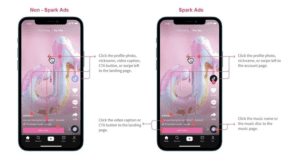 ตัวอย่าง Spark Ads หนึ่งในประเภท In-feed Ads ของโฆษณา TikTok
