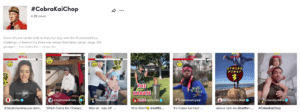 ตัวอย่างโฆษณา TikTok Netflix #CobraKaiChop