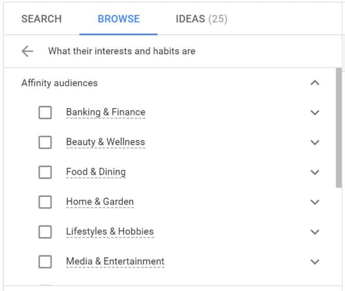 Google Ads-Affinity Audiences