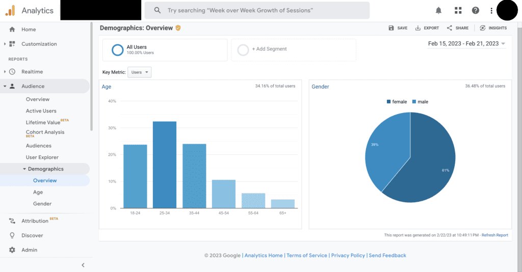 Google Analytics - Audience