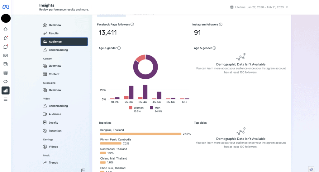 Meta Insights - Audience