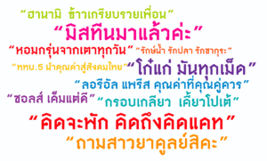ตัวอย่างการเขียนโฆษณาสินค้า 
