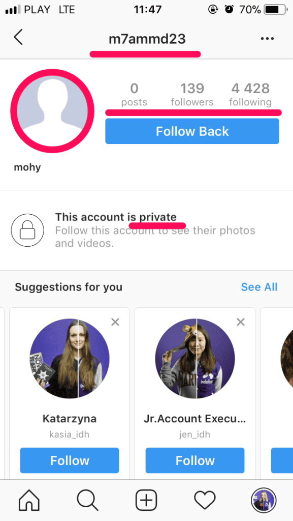 Fake Followers