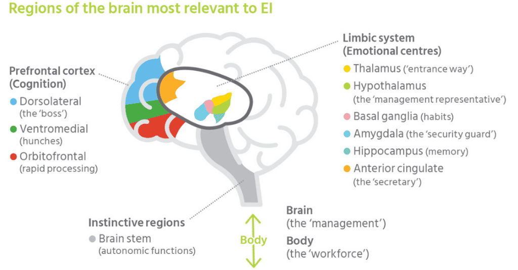 Neuromarketing คืออะไร
