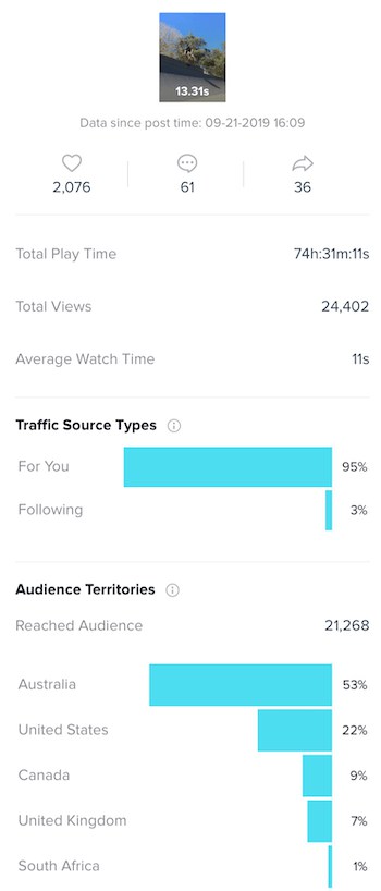 TikTok Insights