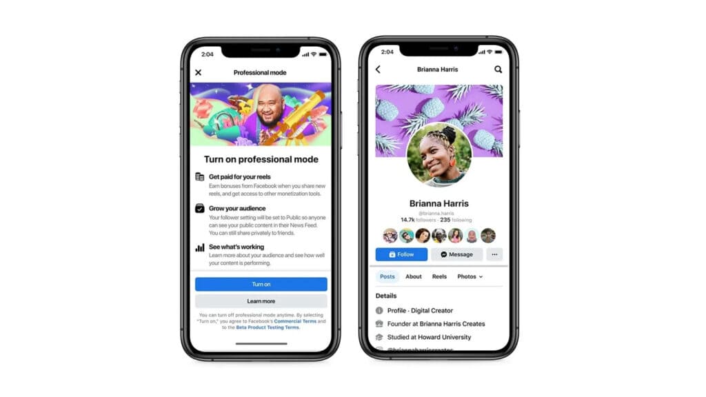 Facebook Professional Profile