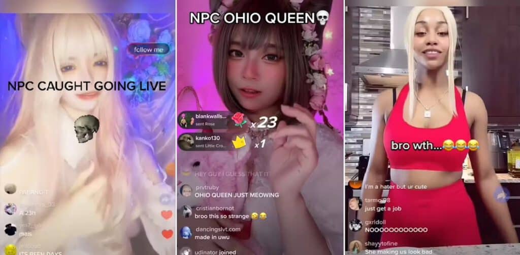 NPC-Live-คือ