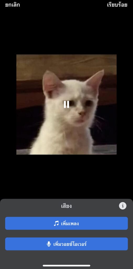 Facebook Reels Voice Over