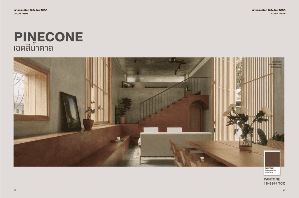 Pinecone_เทรนด์สีปี 2024