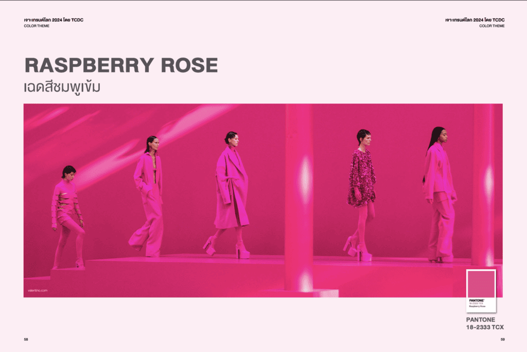 Raspberry Rose_เทรนด์สีปี 2024
