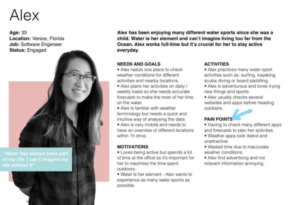 Customer Persona Pain Point