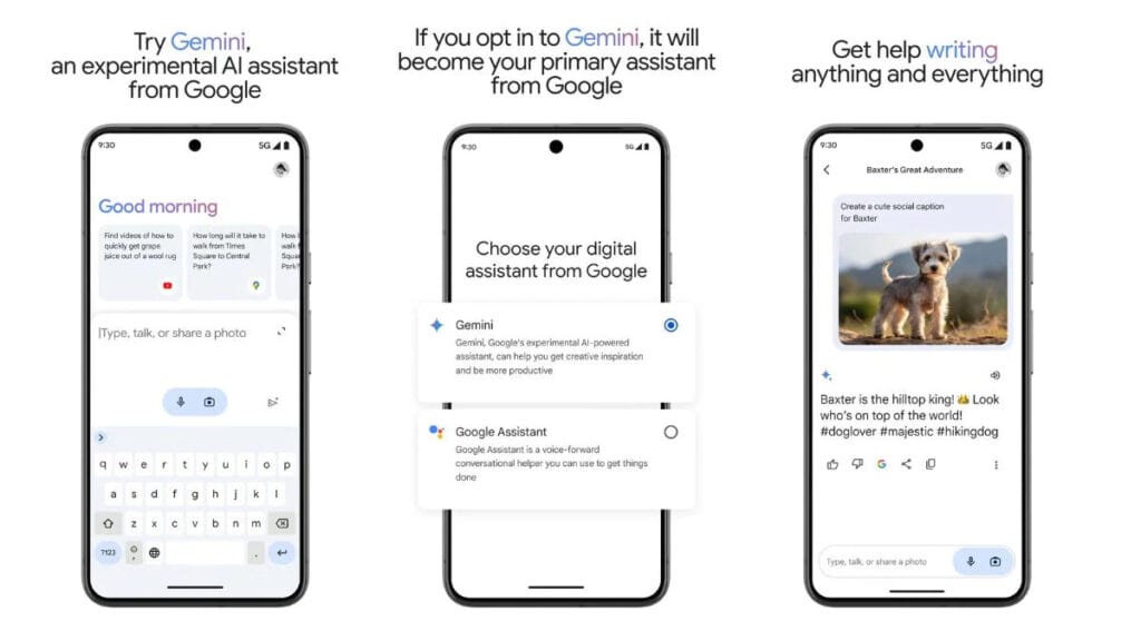 Gemini_Google Assistant