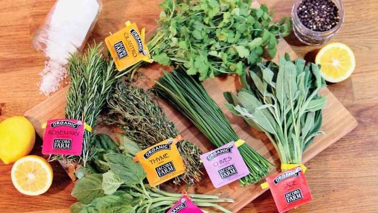 Herb Business