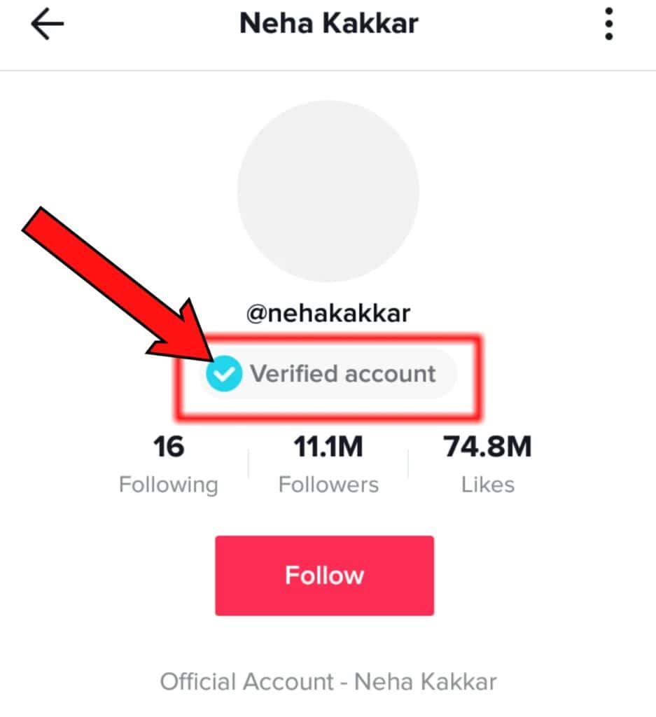 TikTok Verify