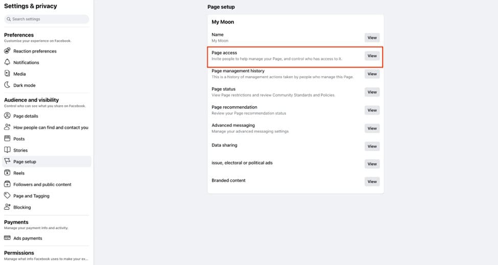 Page Role - Page Access