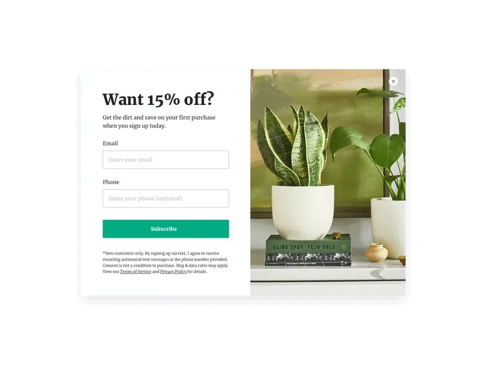 Pop-ups Ads ดึงดูดให้คนกรอกข้อมูลเพื่อรับส่วนลด 15%